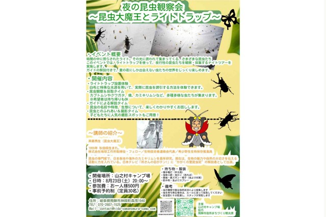 夜の昆虫観察会